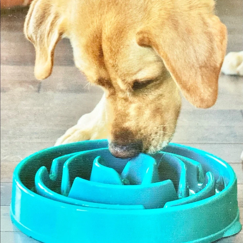 🐶New with tag OUTWARD HOUND FUN FEEDER SLO BOWL-Slow Feeder Dog Bowl Teal large